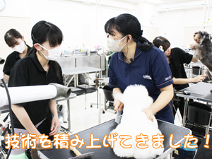スキルアッププログラム、ラストスパート！